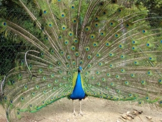  Descubrimientos únicos para toda la familia 